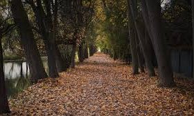 Julio Cortázar – Continuidad de los parques